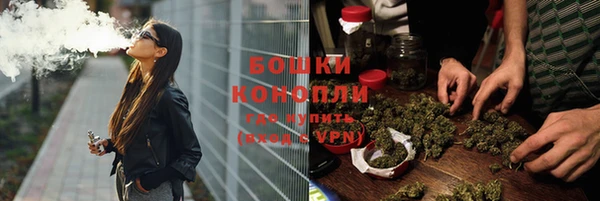 шишки Балахна