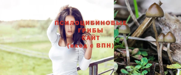 шишки Балахна