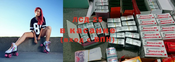 шишки Балахна