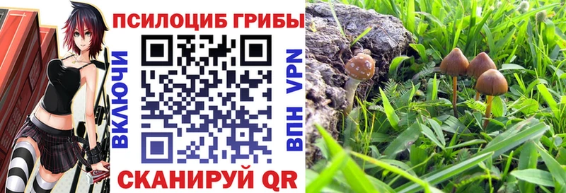 Галлюциногенные грибы GOLDEN TEACHER Звенигород